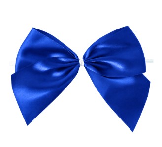 Double Face Satin Twist Tie Bows