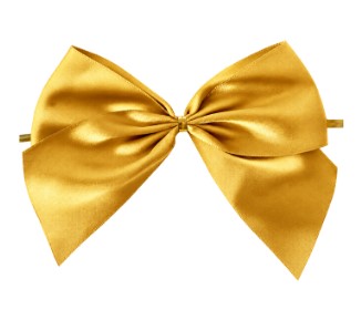 Double Face Satin Twist Tie Bows