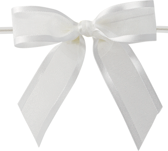 0029 White Ballet Bow with Clear Twist Tie
