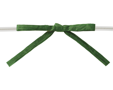 Packaging Express_0587 Emerald Paper Raffia Bow w/ Clear Twist-Tie