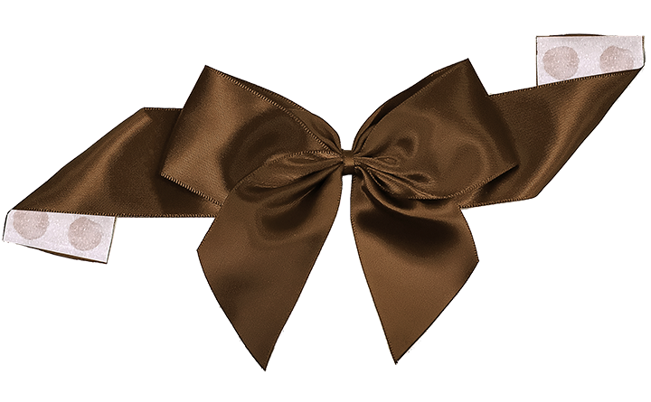 Pre-Tied Satin Bow with Glue Dot