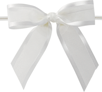 Ballet Bow with Clear Twist Tie