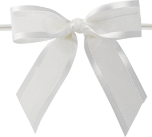 0029 White Ballet Bow with Clear Twist Tie
