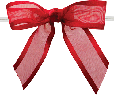 Ballet Bow with Clear Twist Tie