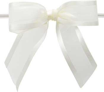 Ballet Bow with Clear Twist Tie