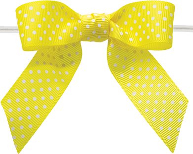Polka Dot Bow with Clear Twist Tie