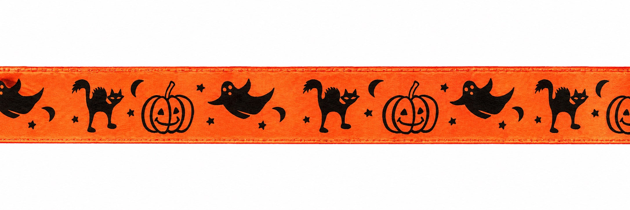 Halloween Cat Print