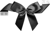 Packaging Express_0030 Black Pretie Bow with Glue Dot