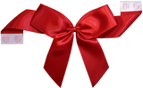 Packaging Express_0250 Red Pretie Bow with Glue Dot