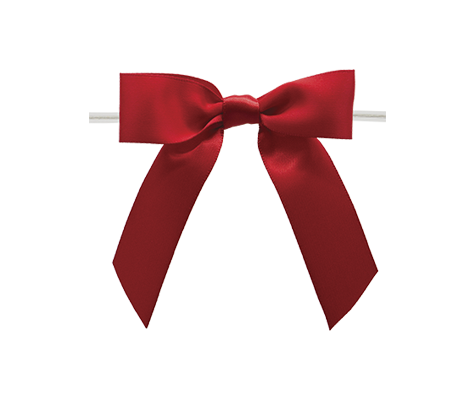 Satin Twist-Tie Bows