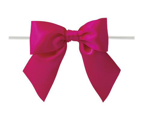 Packaging Express_0175 Shocking Pink Twist Tie Bow
