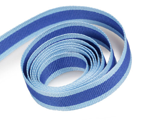 Packaging Express_Blue Sporty Stripe